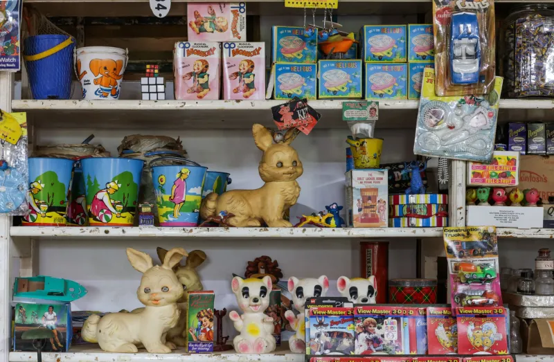 From Bargain Bin to Hot List: The Doll Lines Making an Unlikely Comeback